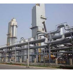 甘肃厂家直销 批发供应，网络营销新篇章